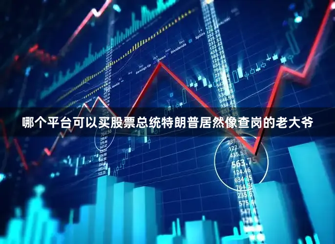 哪个平台可以买股票总统特朗普居然像查岗的老大爷