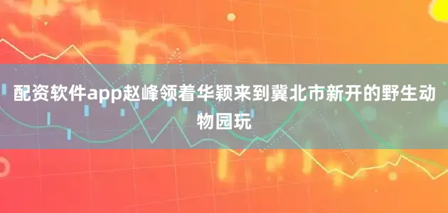 配资软件app赵峰领着华颖来到冀北市新开的野生动物园玩