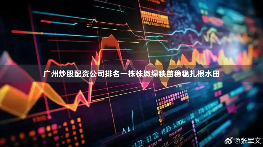 广州炒股配资公司排名一株株嫩绿秧苗稳稳扎根水田
